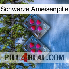 Black Ant Pill 14
